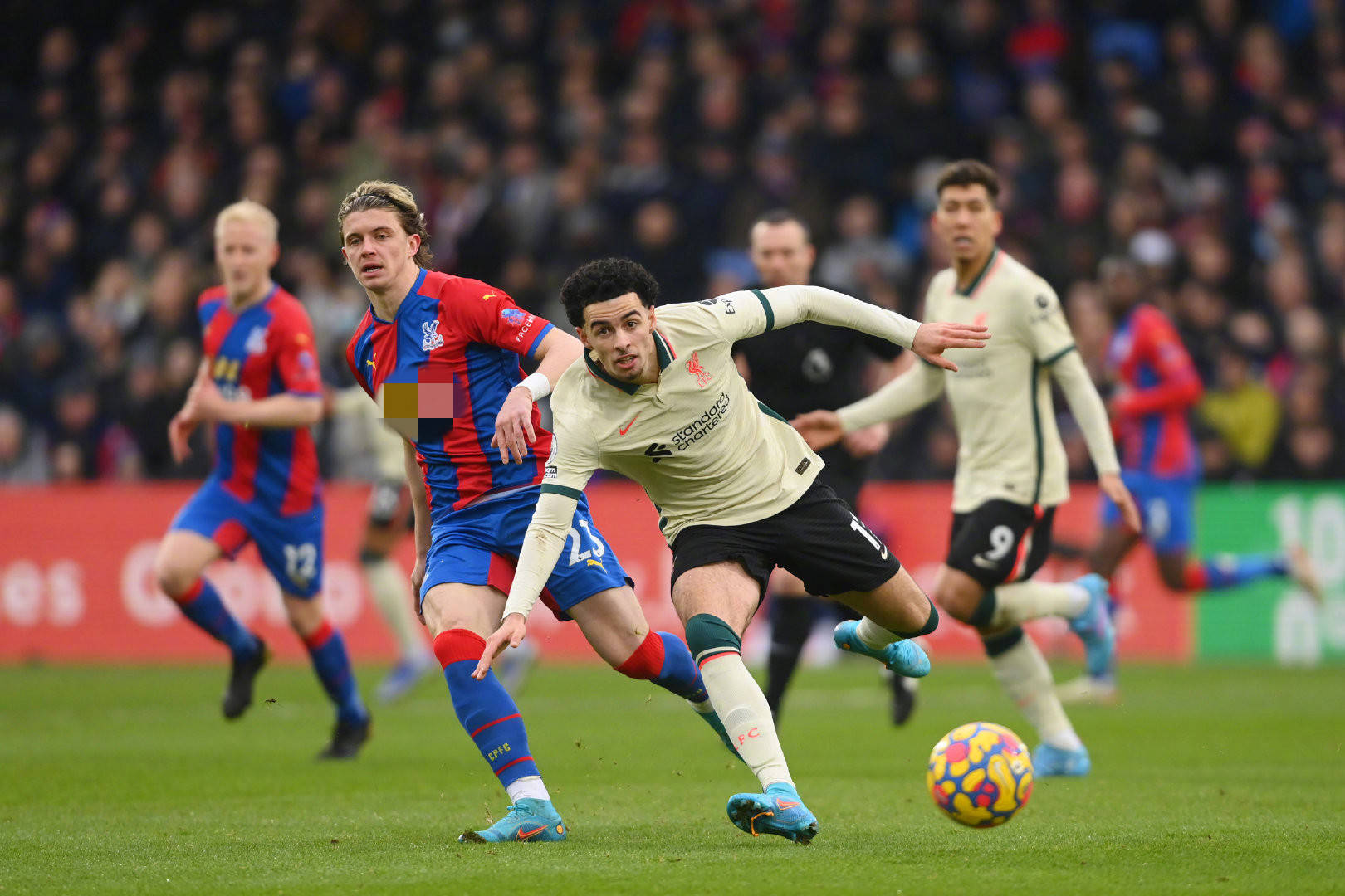 未來的曼聯 未來的曼聯